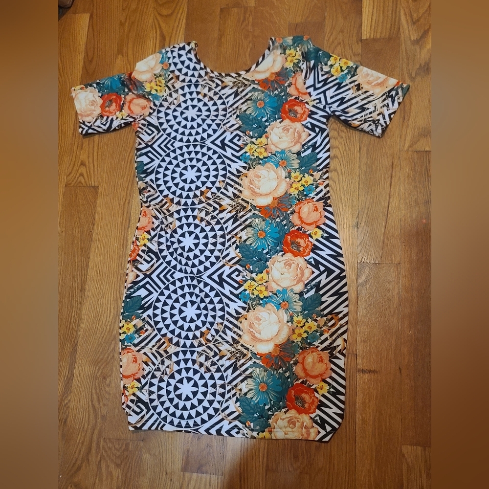 Nicki Minaj Floral and Geometric Patterned Dress
